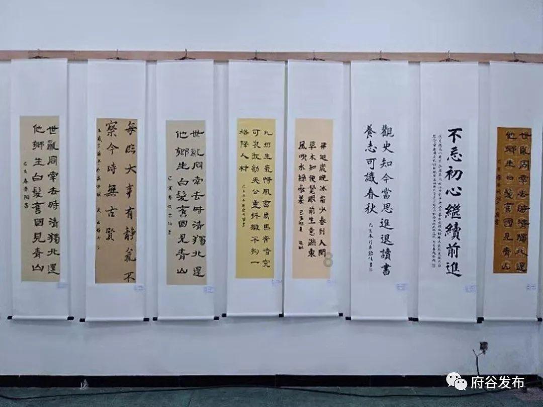 动物帮帮忙保卫家园